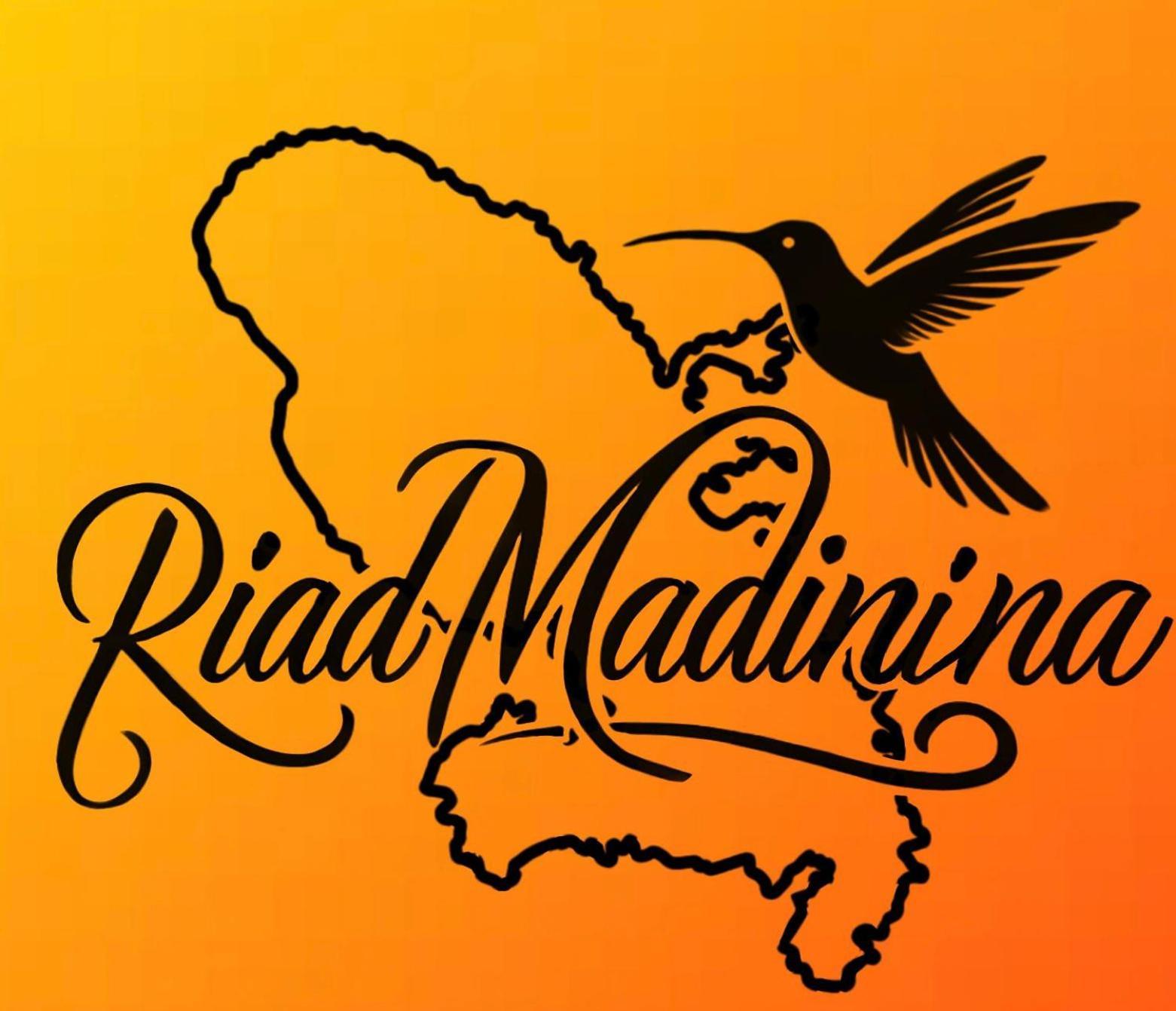 מרקש Riad Madinina מראה חיצוני תמונה